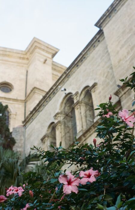 francis-foto-film-analogfotografie (1)