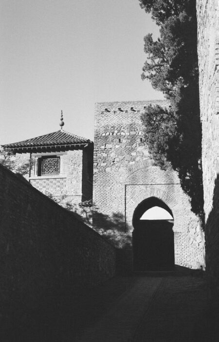 francis-foto-film-analogfotografie (11)