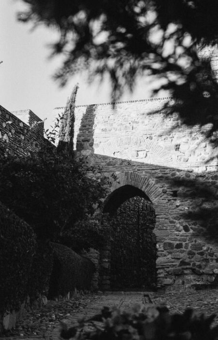 francis-foto-film-analogfotografie (13)