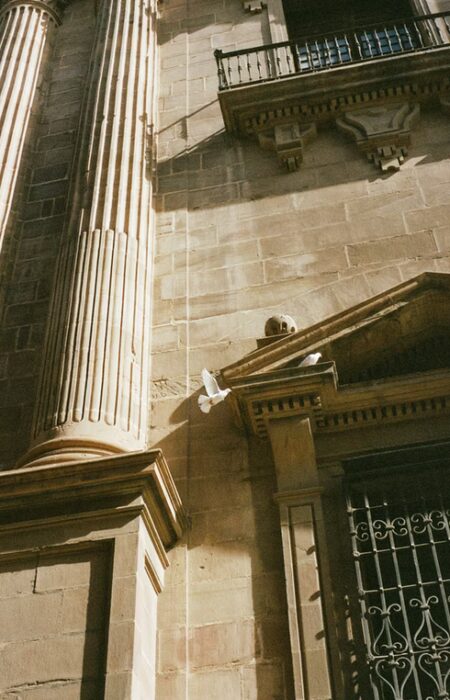 francis-foto-film-analogfotografie (14)