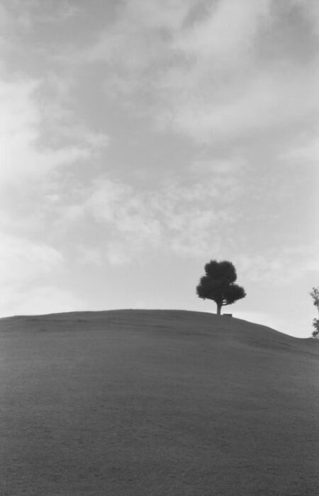 francis-foto-film-analogfotografie (2)