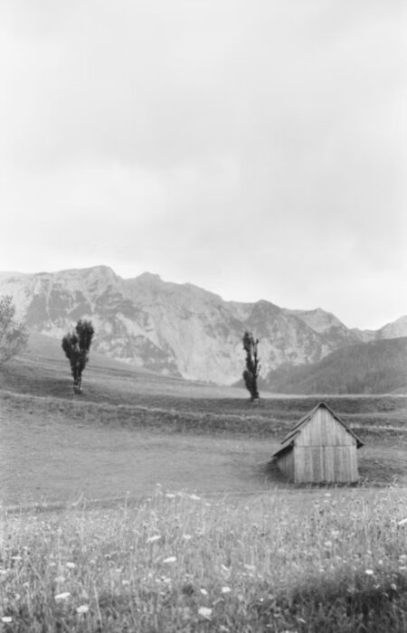 francis-foto-film-analogfotografie (4)