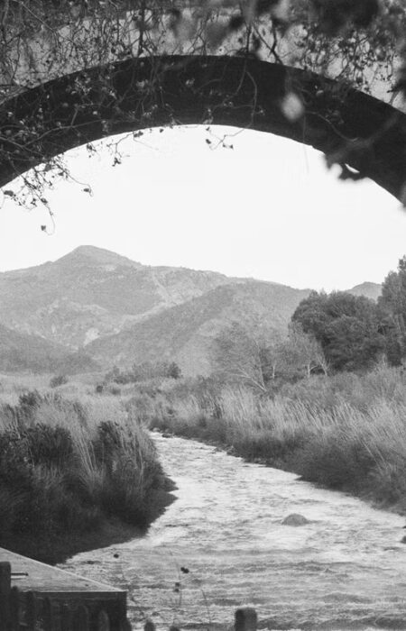 francis-foto-film-analogfotografie (7)