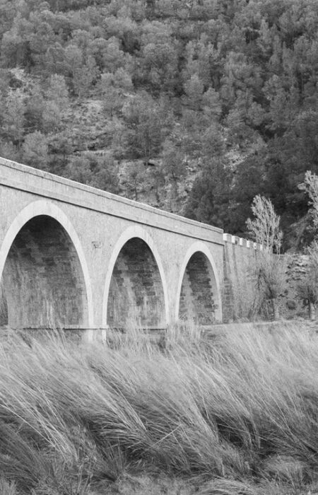 francis-foto-film-analogfotografie (8)